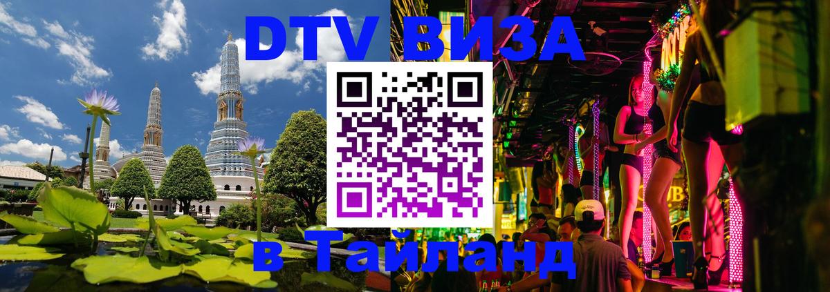 Сколько стоит DTV виза — актуальные цены, оформление даже без документов - Исламабад  08.12.2025 